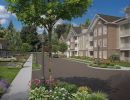 fayettville village apartments