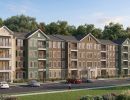 the arbors at penfield